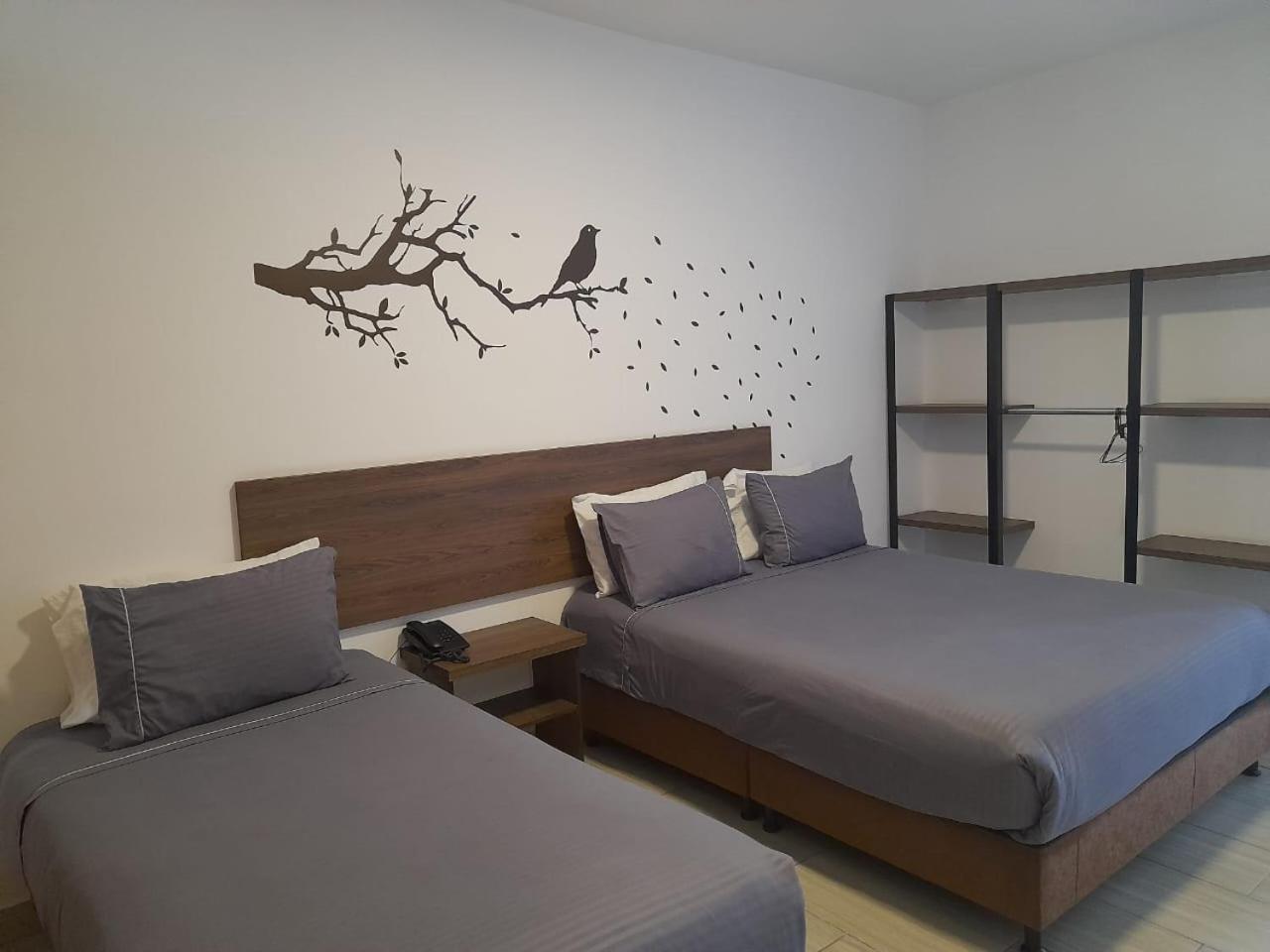 Hotel Entre Lomas Santa Rosa de Cabal Eksteriør billede
